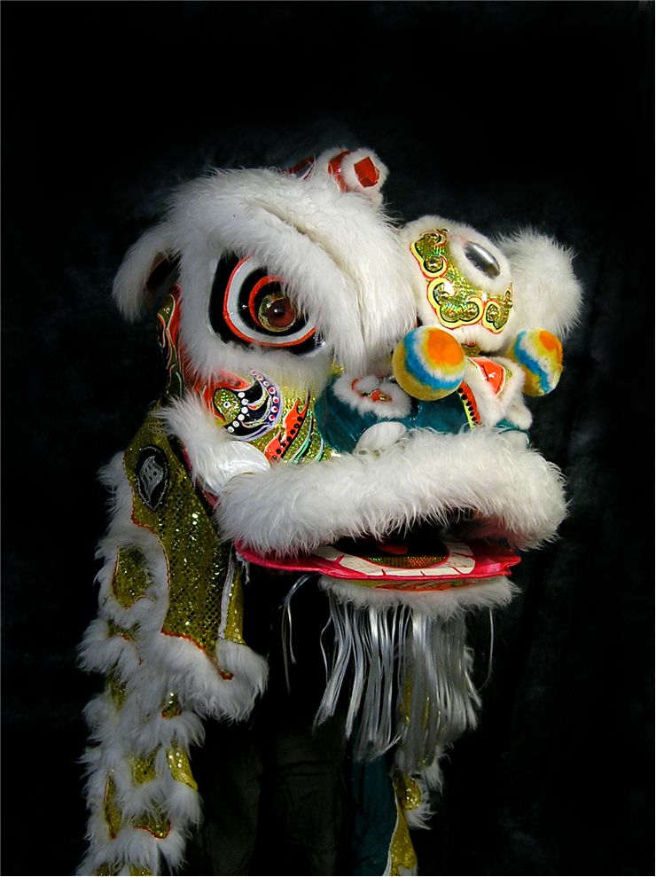 Lion Dancing